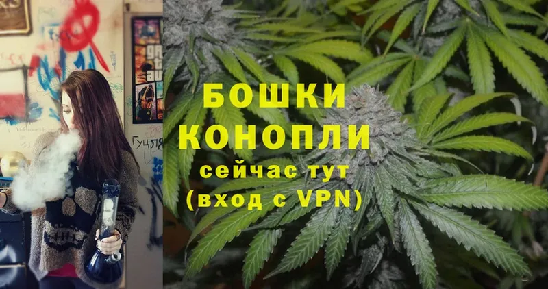 Канабис Bruce Banner  Гаврилов Посад 